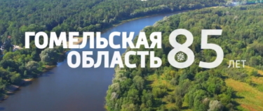 Гомельской области 85!